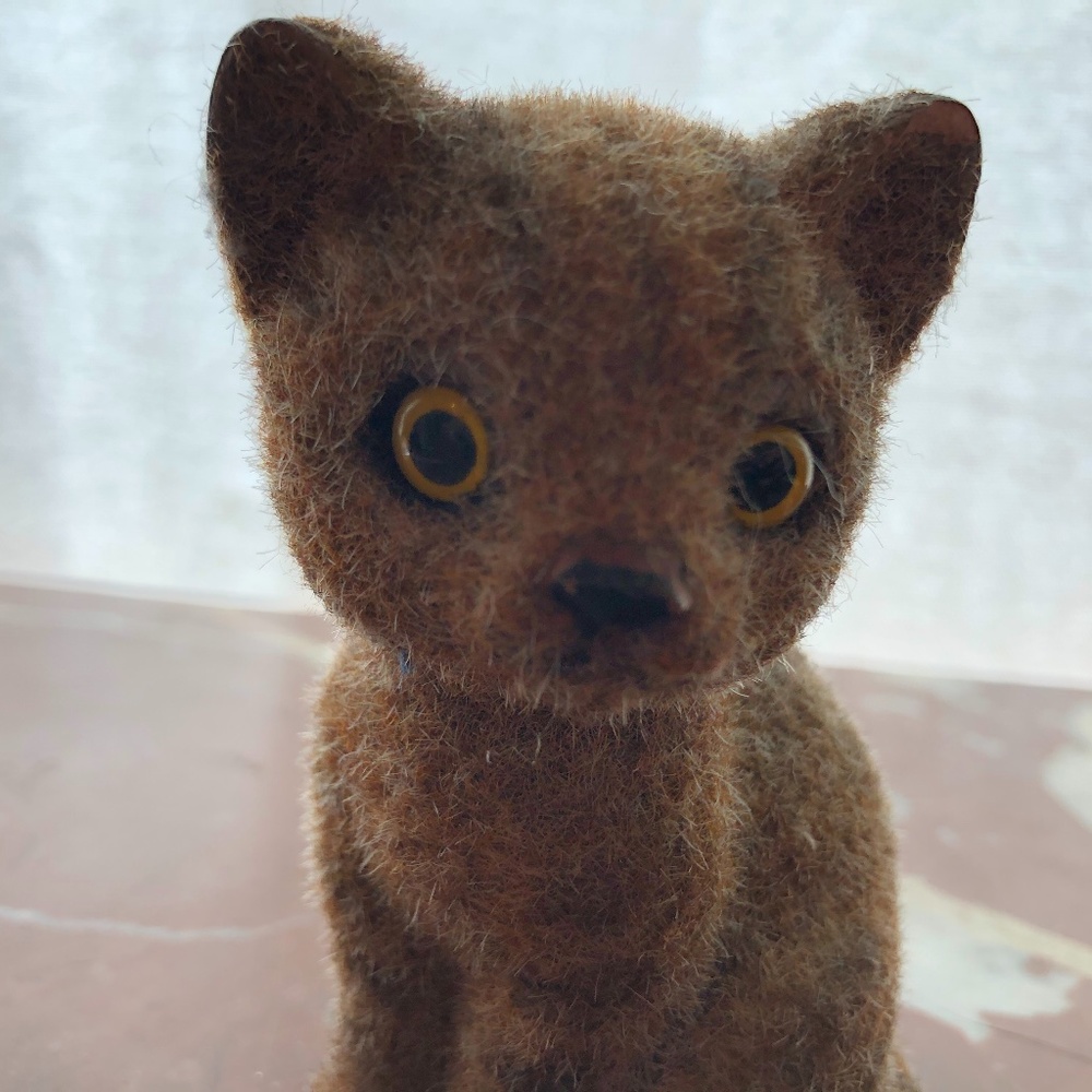 Strange looking cat toy
